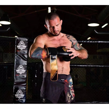 10oz Boxing Gloves - Infinity - Origin Series
