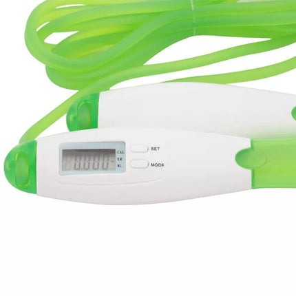 Šoklinė su LCD skaitikliu HMS SK31