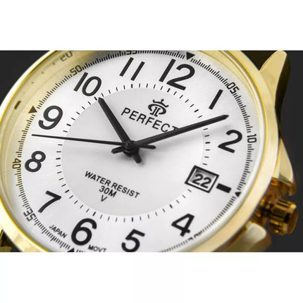 PERFECT C710T-10 Men's Watch