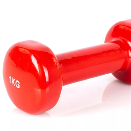 PROfit vinyl dumbbell 0.5kg DK 4102