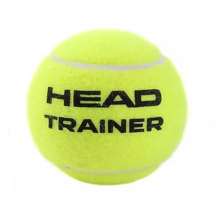 Pagrindinis Teniso Kamuoliukas 578120