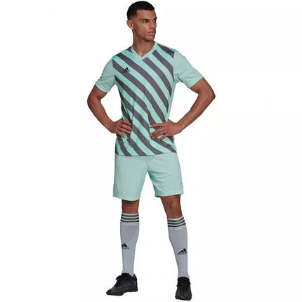 adidas Entrada 22 Grafinis Džersis M HF0119