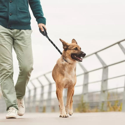 DOG LEASH 150x1.2CM WITH CONTAINER