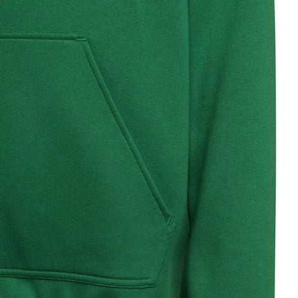 Adidas Entrada 22 Hoody Y Jr. džemperis HI2143