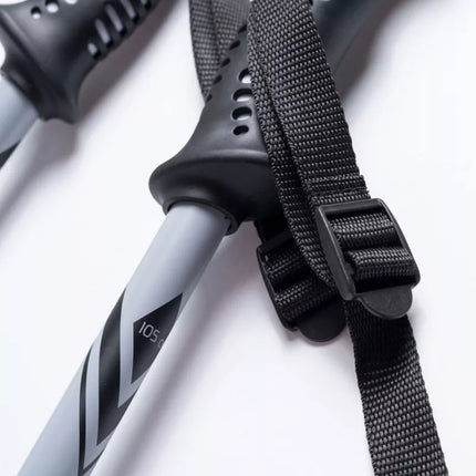 ALPINE SKI II poles