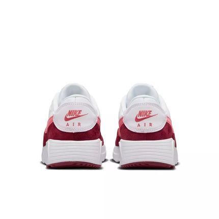 Nike Air Max SC FJ3242-100 shoes