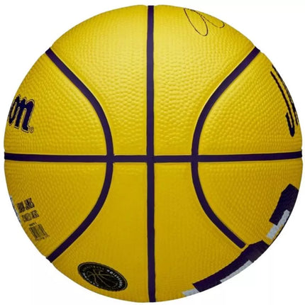 Wilson NBA žaidėjo LeBron James mini kamuolys WZ4027701XB krepšinis