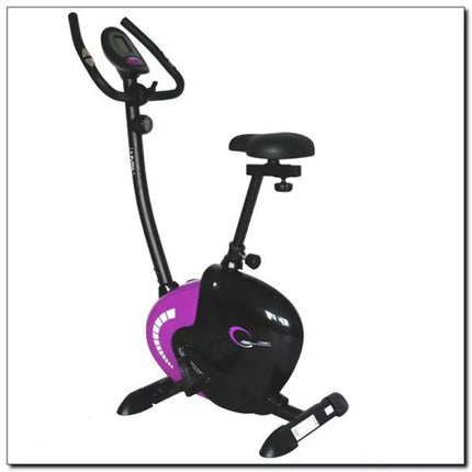 Purple magnetic bike HMS M9239V