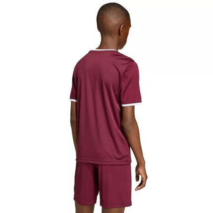 adidas Entrada 26 Jersey bordo vaikiški marškinėliai JZ2530