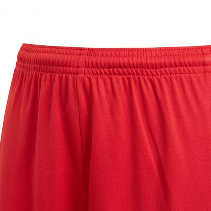 Adidas Squadra 21 Šortai Jaunimui Jr GN5761