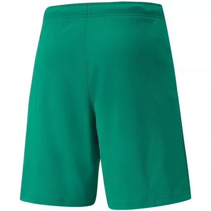 Puma teamRISE Šortai M 704942 05