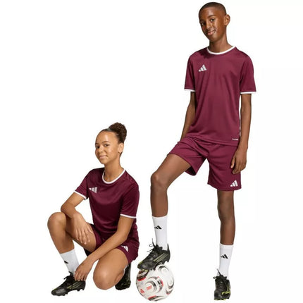 adidas Entrada 26 burgundy kids' shorts JZ6527