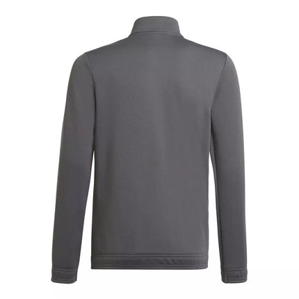 Adidas Junior Entrada 22 sportinio kostiumo kelnės Jr H57521