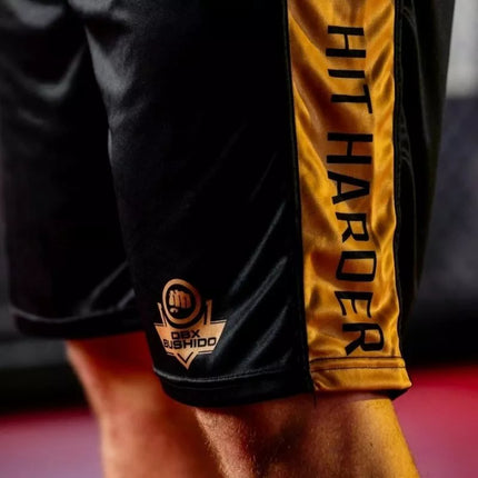 GOLD training boxing shorts