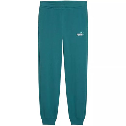 Puma ESS 2 Color No. 1 Logo Kids Pants Green 693892 41