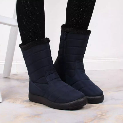 Sniego batai su pašiltinimu NEWS IN EVE378C