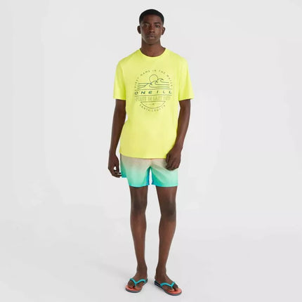 O'Neill Jack Cali Gradient 15'' maudymosi šortai M 92800613575