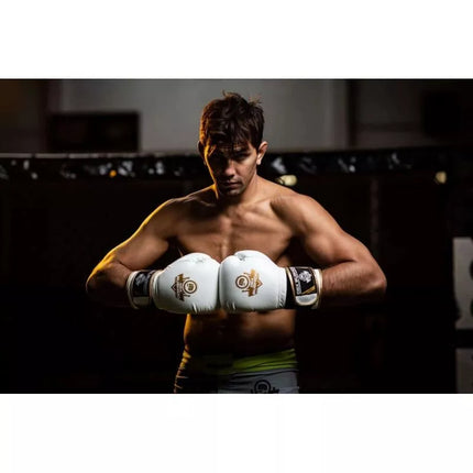 10oz Boxing Gloves - Spirit - Valor Series