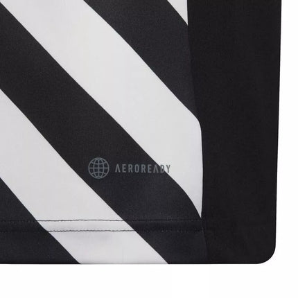 adidas Entrada 22 Graphic marškinėliai berniukams HF0123