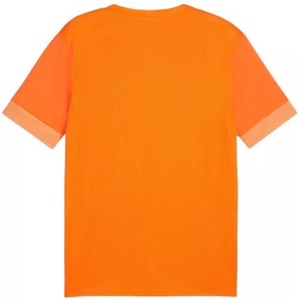 Puma teamGoal Matchday Jersey M 705747 08