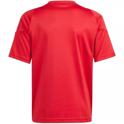adidas Tiro 24 Jr marškinėliai IS1030