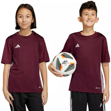 adidas Stalo 23 marškiniai Jr IB4933
