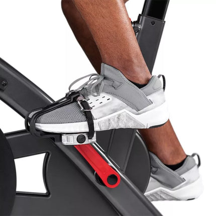 Schwinn IC8 mankštinis dviratis