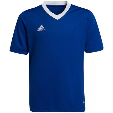 Adidas Entrada 22 Jsy Jr Marškinėliai HG3948