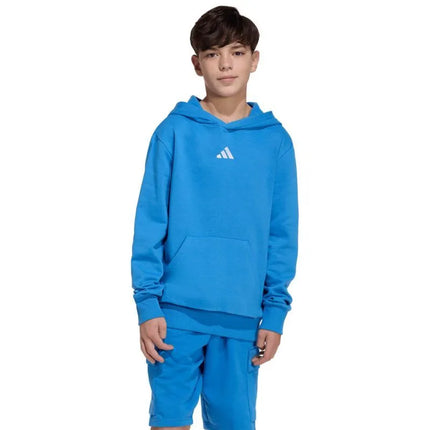 adidas Essentials Hoodie for kids blue KD3382