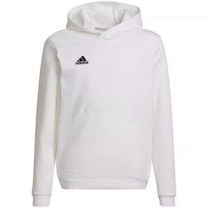 Adidas Entrada 22 Hoody Jr HG6303 džemperis