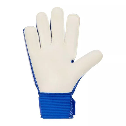 Nike Match Jr. Gloves HQ0258-458