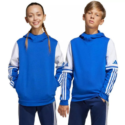 Adidas Squadra 25 Sweat Hoody Jr JD4806