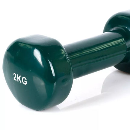 PROfit vinyl dumbbell 0.5kg DK 4102