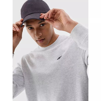 Men's sweatshirt without zipper, without hood, 4F 4FWMM00TSWSM1767-27M
