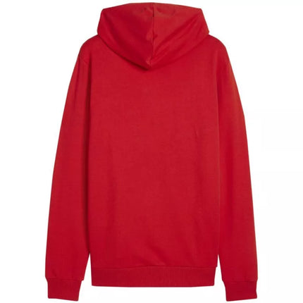 Puma Team Goal Casuals Hoody M 658618 01