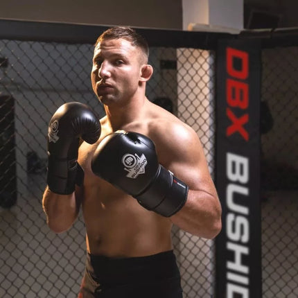 10oz Boxing Gloves - Eclipse - Origin Series