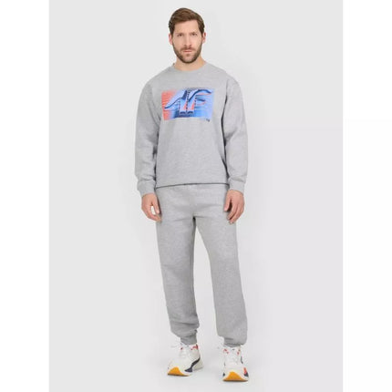 Men's jogger sweatpants 4F 4FRAW25TTROM1832-27M