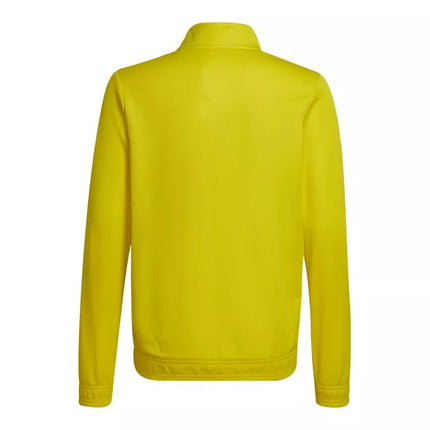 Adidas Entrada 22 jaunimo džemperis HI2139