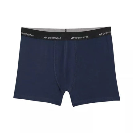 Men's boxer shorts 4F M080 2-pack multicolor 4FWMM00UBXSM080 90S