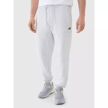 Vyriškos kelnės-jogger 4F 4FWMM00TTROM1139-27M