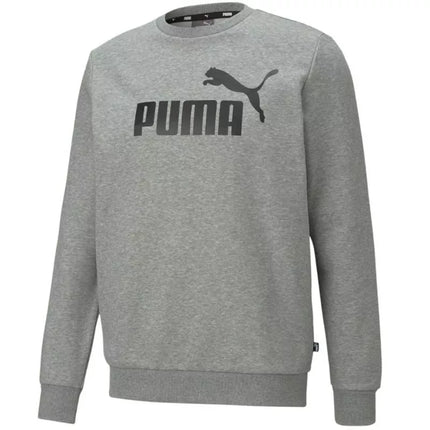 Puma ESS Big Logo Crew FL M džemperis 586678 03