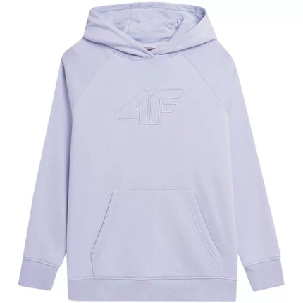 Džemperis 4F F0765 W 4FAW23TSWSF0765 52S