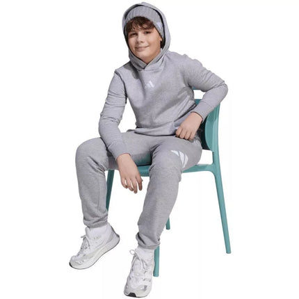 adidas Essentials Hoodie for kids gray JV9995