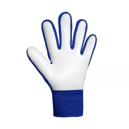 Reusch Attrakt Starter Solid Junior goalkeeper gloves blue 5672514 4126