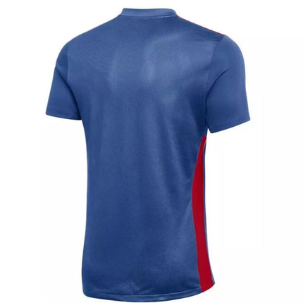 Nike Park Derby IV džersio marškinėliai FD7430-464