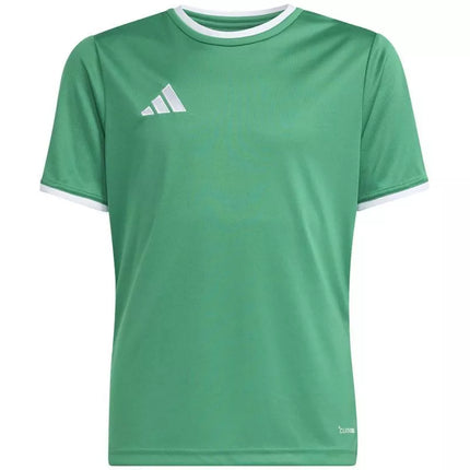adidas Entrada 26 Marškinėliai žali JZ2528 vaikiški