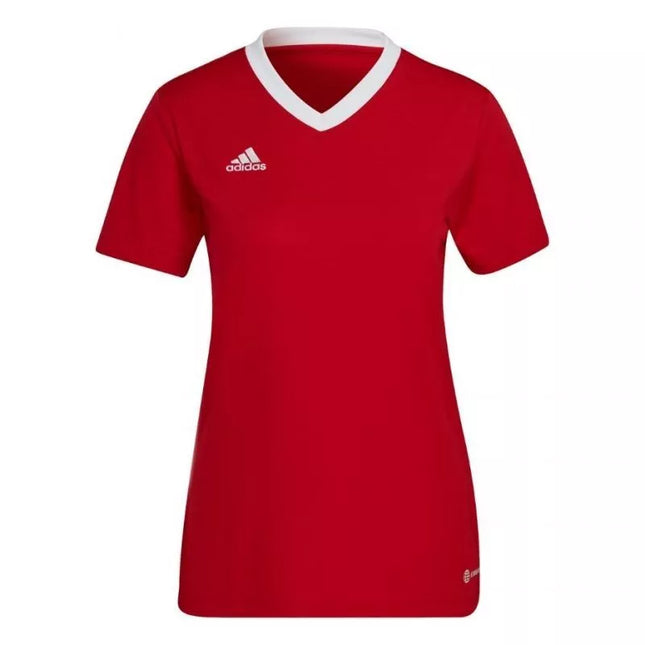 Adidas Entrada 22 Jsy W marškinėli H57571