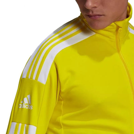 Adidas Squadra 21 Treniruočių M džemperis GP6465