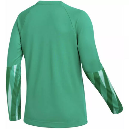 Nike Dri-Fit Park V Stadium Moterų Džersis Žalias HV8316 324