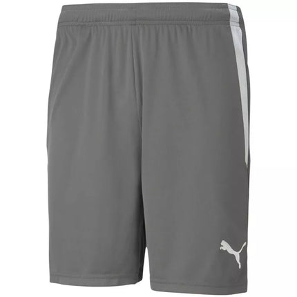 Puma teamLIGA M 704924 13 šortai